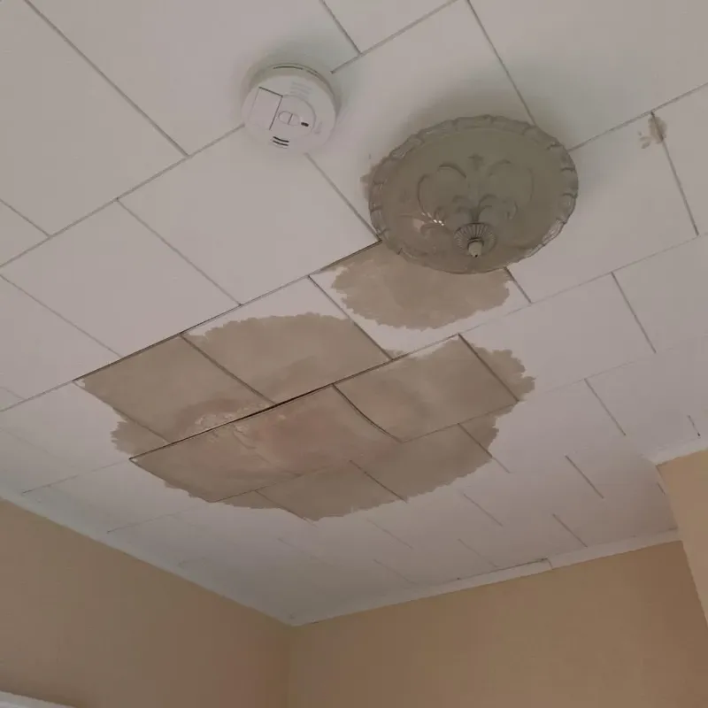 Ceiling Water Damage Repair in Temple, NH