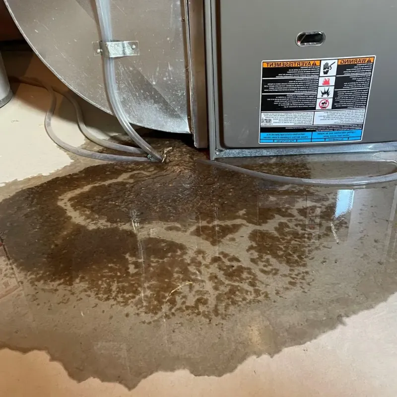 Pipe Burst and Leak Restoration in Temple, NH